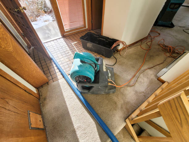 Best Mold removal after water damage  in North Bellport, NY