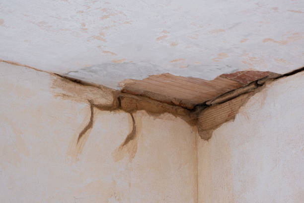 Best Professional water damage repair  in North Bellport, NY
