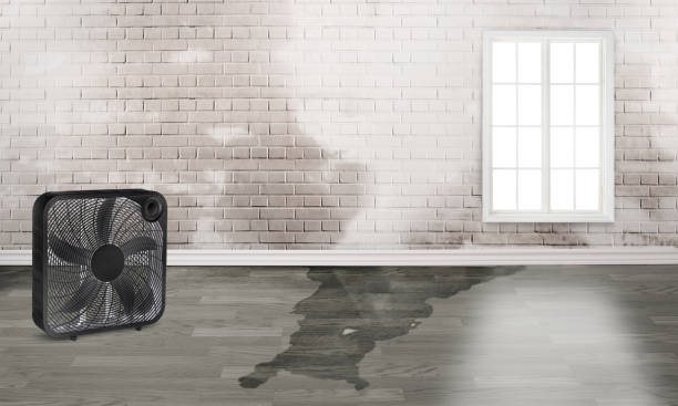 Carpet water damage restoration in NY