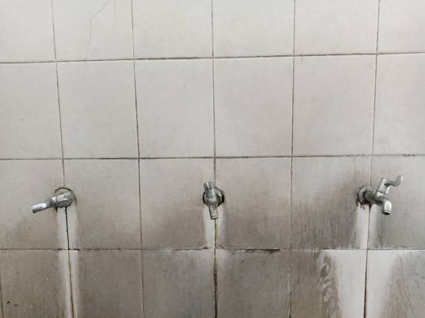 Best Local water damage restoration  in North Bellport, NY