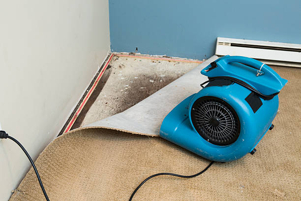 Best Flood restoration services  in North Bellport, NY
