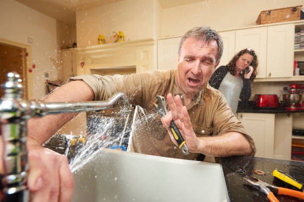 Best Water damage restoration experts  in North Bellport, NY